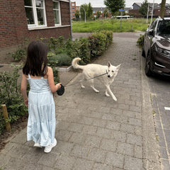 Rollijnen en accessoires