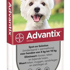 Gevoelige huid & allergie bij katten