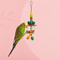 Foerageren vogels