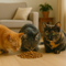 Kattenbrokken voor oudere katten