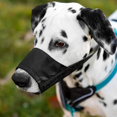 Muilkorven voor honden