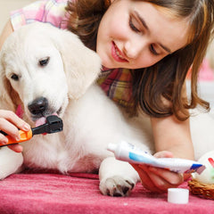 Verzorging van puppy’s