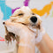 Hondenshampoo & conditioner