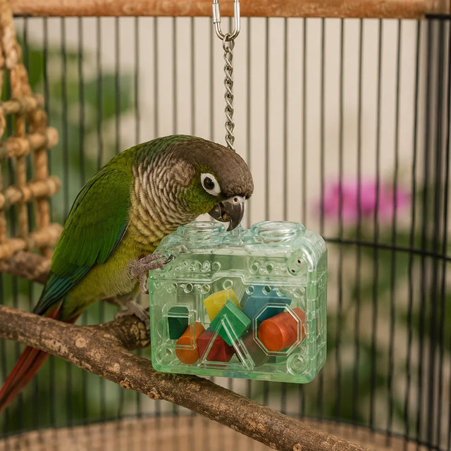 Intelligentiespeelgoed voor vogels