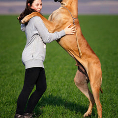 Voer voor hele grote rassen (>40kg)