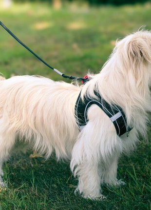 Zolux Szelki oddychające z siatki XS zielone