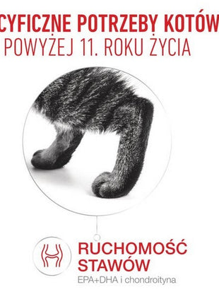 Royal Canin Ageing +11 karma mokra dla kotów dojrzałych w sosie saszetka 85g