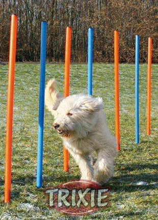 Trixie Agility Slalom