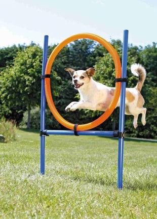 Trixie Agility Ring