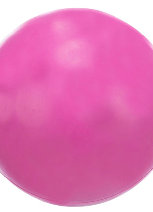 Trixie Ball aus Naturgummi