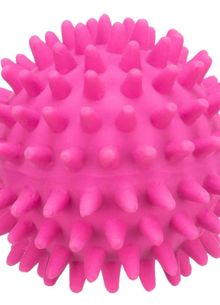 Trixie Igelball aus Latex