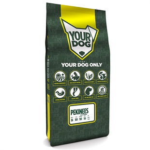 Yourdog Pekinees Volwassen