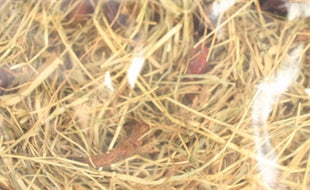 Excellent Kruidenhooi Rozenbottel En Mint