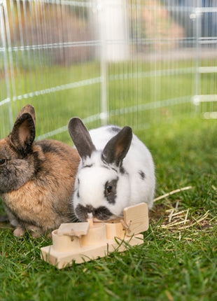 Trixie Snack Cups Voor Ratten En Konijnen Hout