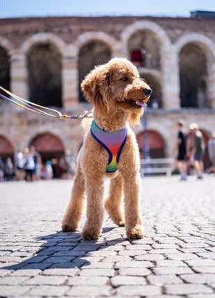 Morso Hondentuig Body Mesh Gerecycled Spring Blossom