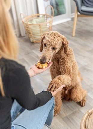 Trixie Denta Fun Twists Van Collageen Met Kip