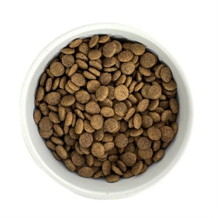 Budget Premiumkvalitetsfoder för äldre katter – 1 kg – För äldre och steriliserade katter