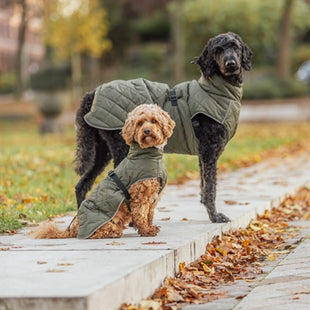 Trixie Hondenjas Minot Olijfgroen