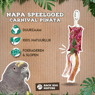 Back Zoo Nature Carnival Pinata