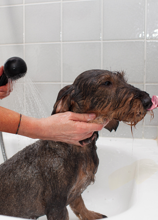 AFP Calm Paws - Bath Anti-anxiety Duck