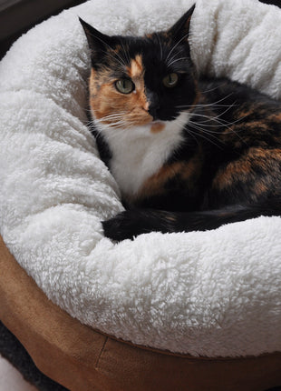 AFP Lambswool - Donut Bed Beige