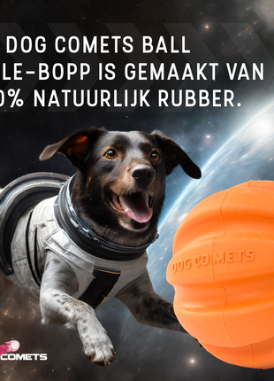 Dog Comets Swift Tuttle Met Touw Oranje