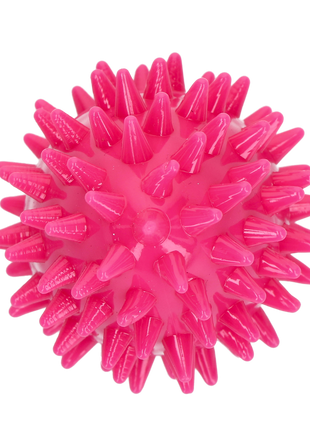 Dog Comets Cosmic Egg Roze
