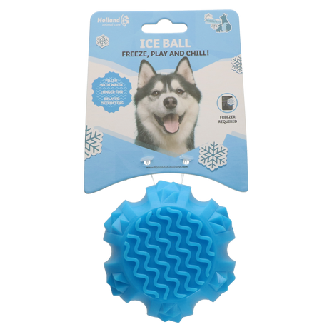 Coolpets Ice Ball