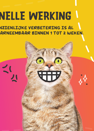 Excellent Pets Dental Oral Care
