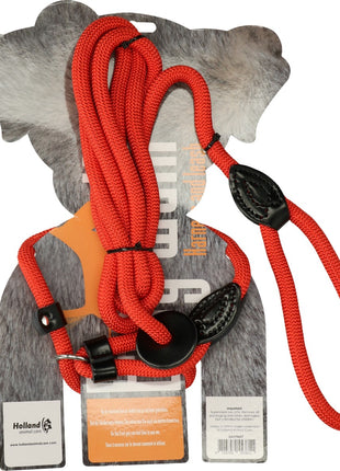 Easy Walk Handmodel