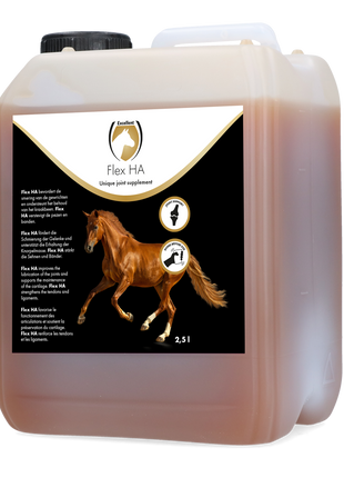 Excellent Horse Flex HA
