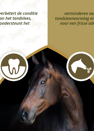 Excellent Horse Dental Care 1 kg