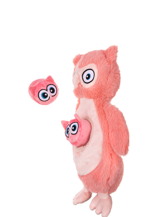 Growl Sidekicks Hoot en Hootlet