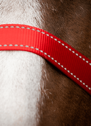 Excellent Premium Halster Rood