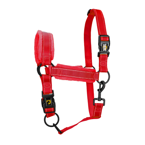 Excellent Superior Halster Rood