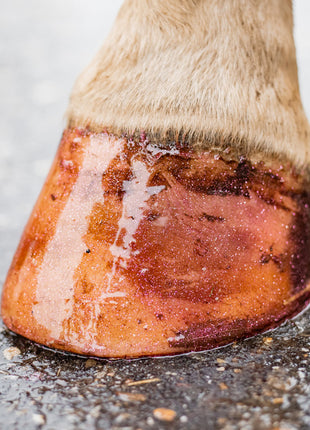 Excellent Horse Hi Gloss Glitter Hoof Polish Pink 150 ml