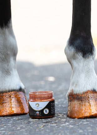 Excellent Horse Hi Gloss Glitter Hoof Polish Orange 150 ml