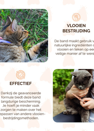 Knock Pest Vlooien/Tekenband Kat 33 cm DE/UK