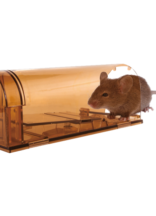 Knock Pest Muizenval Levend