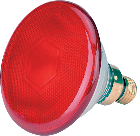 Spaarlamp 175 W - Rood