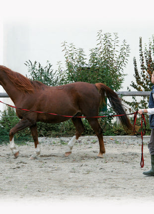 Longeerlijn zwart soft 8 meter Rood