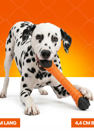 Oranje Apporteerstick S