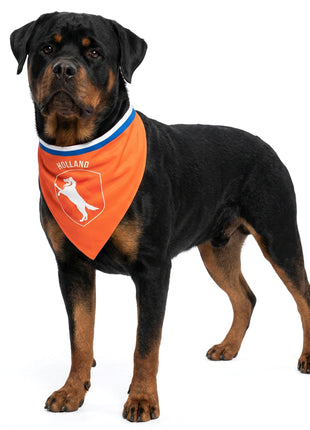 Oranje Bandana Holland