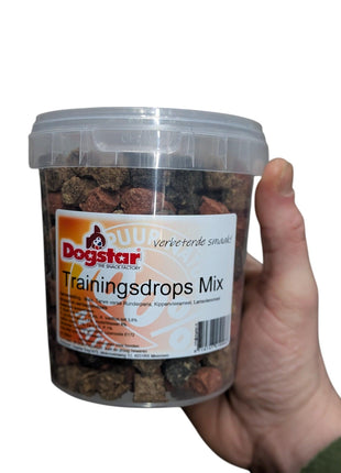 Dogstar Colour Mix-träningsskor