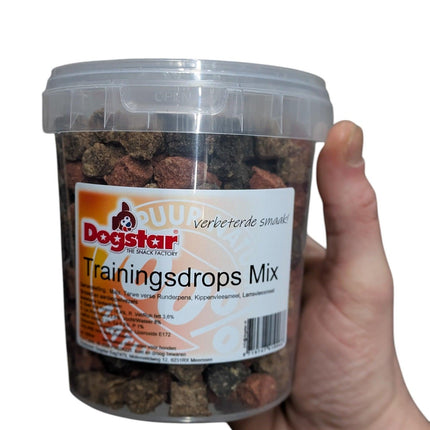 Dogstar Colour Mix-träningsskor