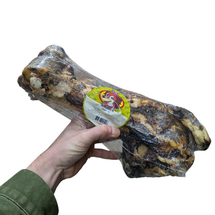 Petsnack Dinobot Förpackad
