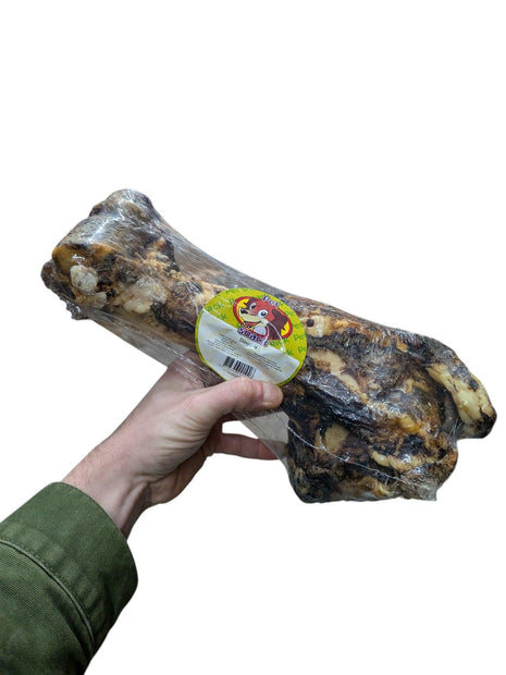 Petsnack Dinobot Förpackad - 100% naturlig tuggbjälk ca 30 cm