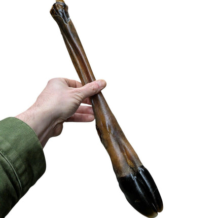 Husdjurssnack Hjortben