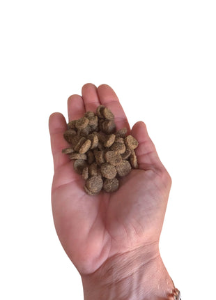 Acana Classic Red Dry Dog Food - Helfoder med lamm, nötkött och fläsk - 2 kg, 9,7 kg, 14,5 kg