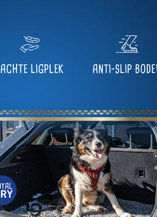 Royal Dry Knoeimat Voor Honden En Katten